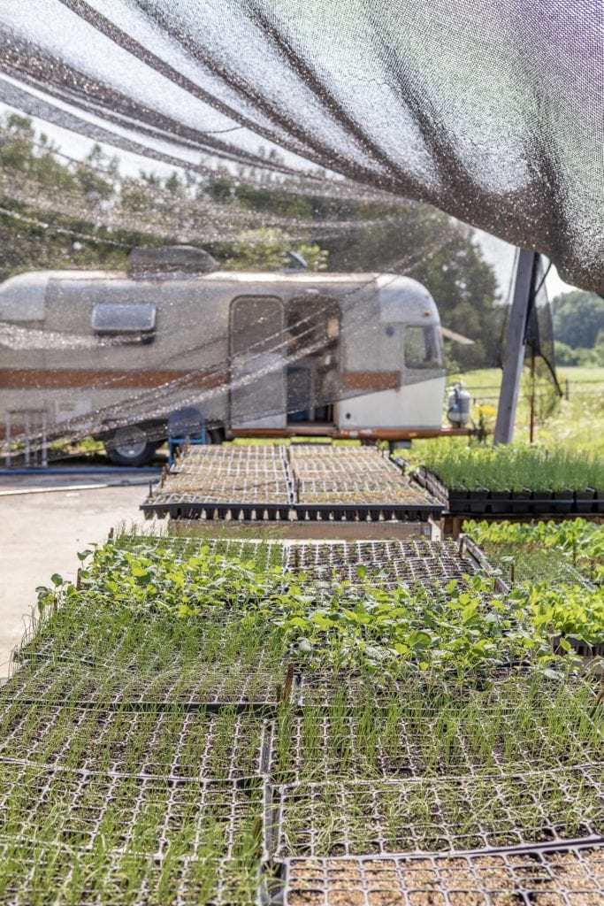 edible MAINE - Down on the Farm