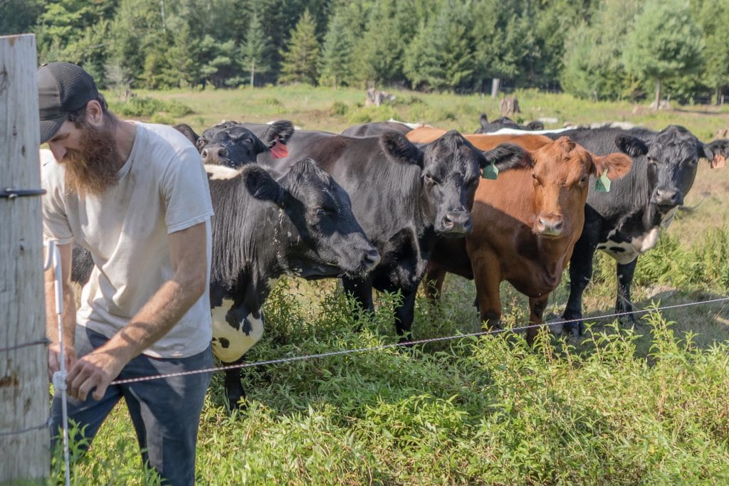 edible MAINE - Down on the Farm