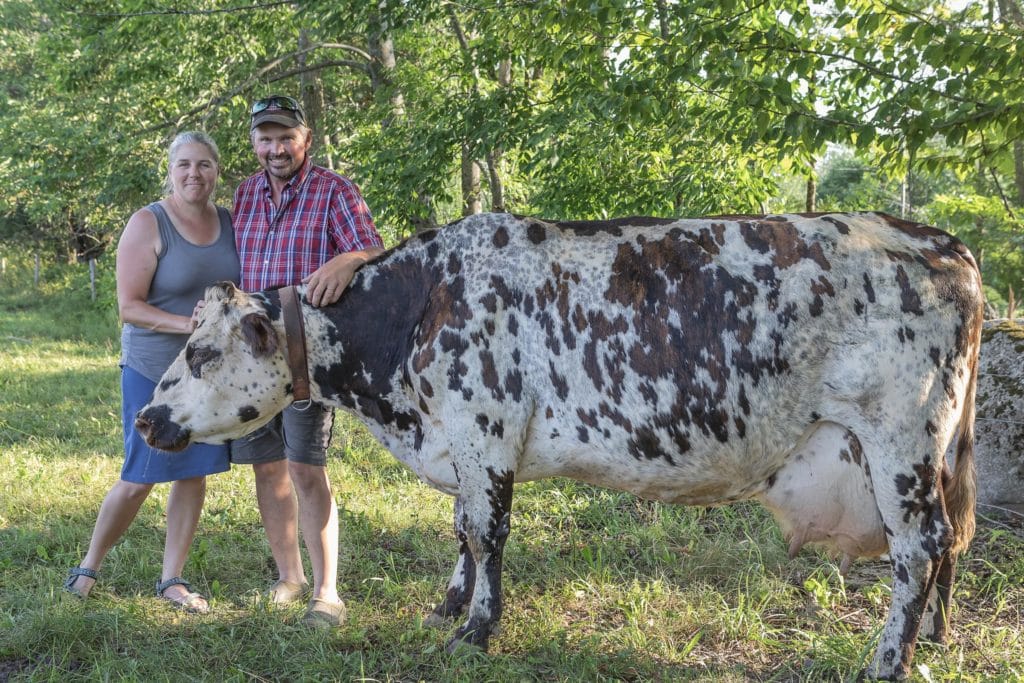 edible MAINE - Down on the Farm