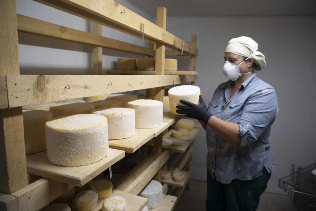 edible MAINE - Say Cheese