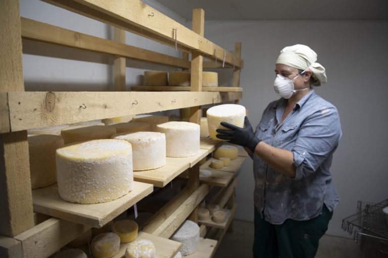 edible MAINE - Say Cheese