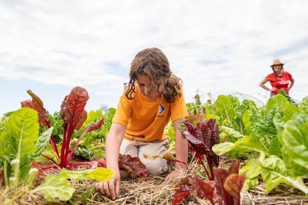 edible MAINE - Sowing Seeds for Local Food