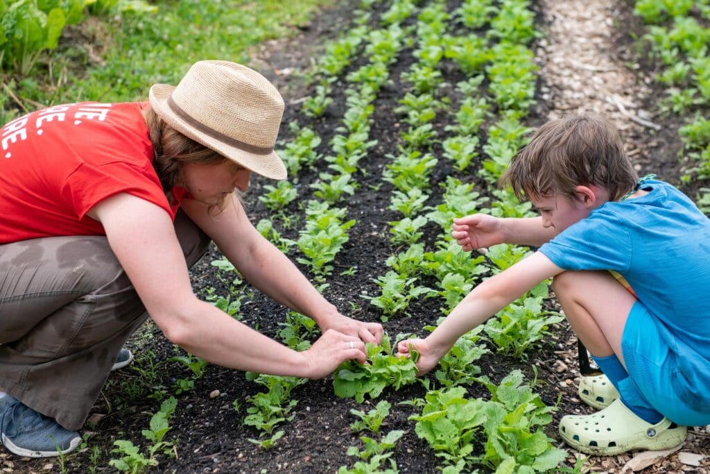 edible MAINE - Sowing Seeds for Local Food