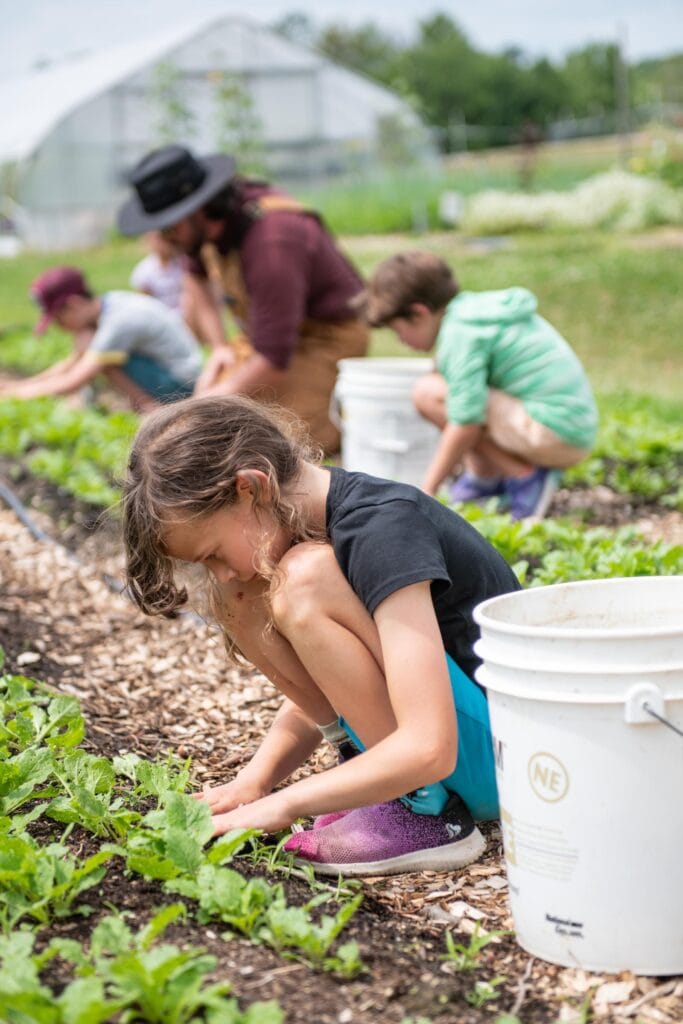 edible MAINE - Sowing Seeds for Local Food
