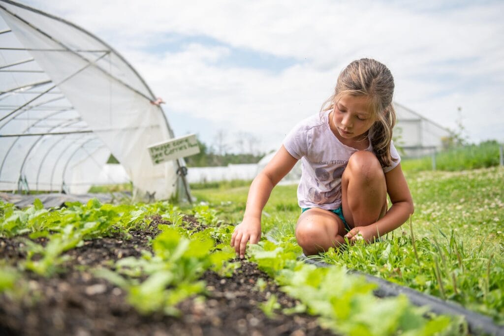 edible MAINE - Sowing Seeds for Local Food