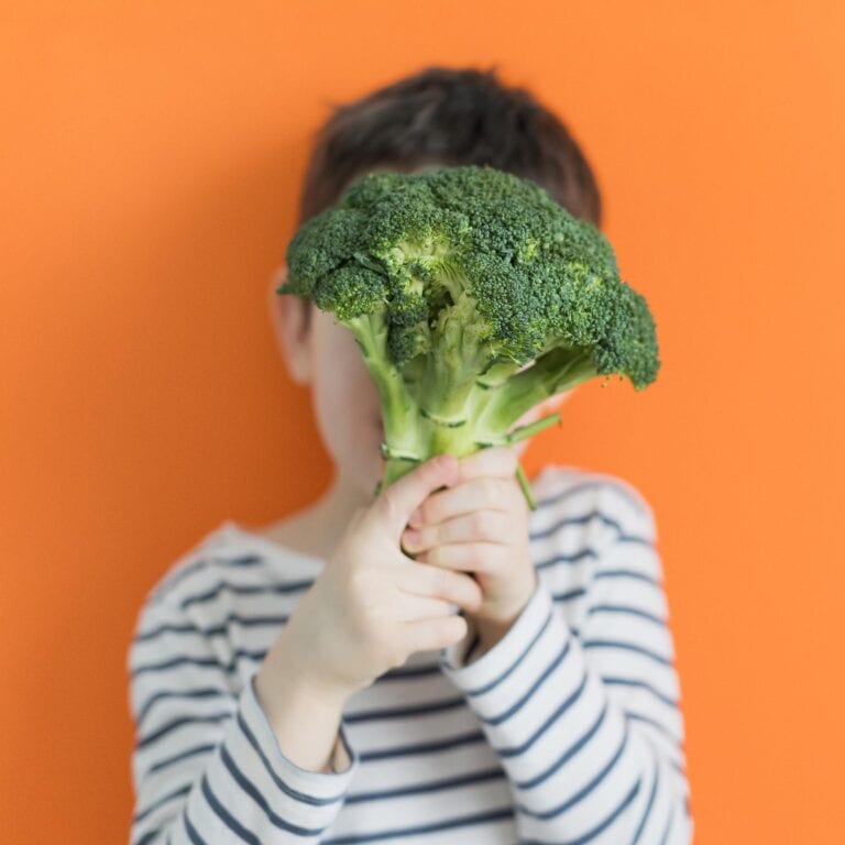edible MAINE - Kittery Community Market: Inspiring Future Generations of Farmer’s Market shoppers