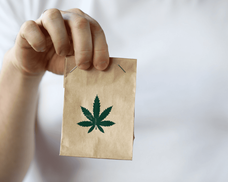edible MAINE - Giving the Gift of Cannabis