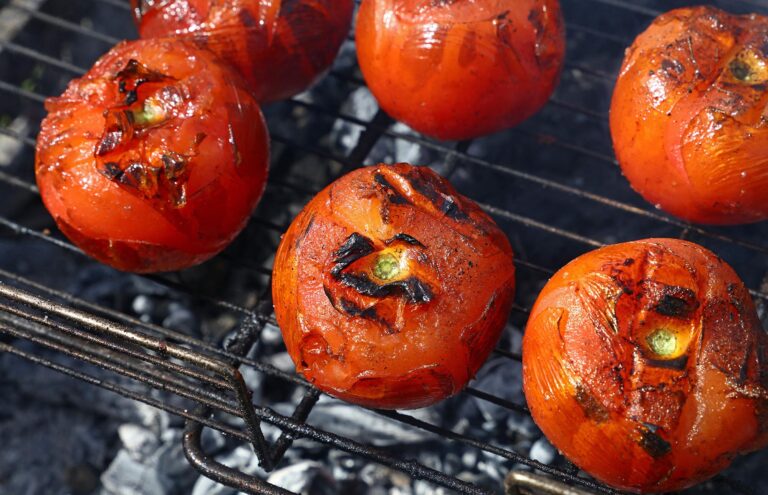 edible MAINE - Grilled Tomato Soup