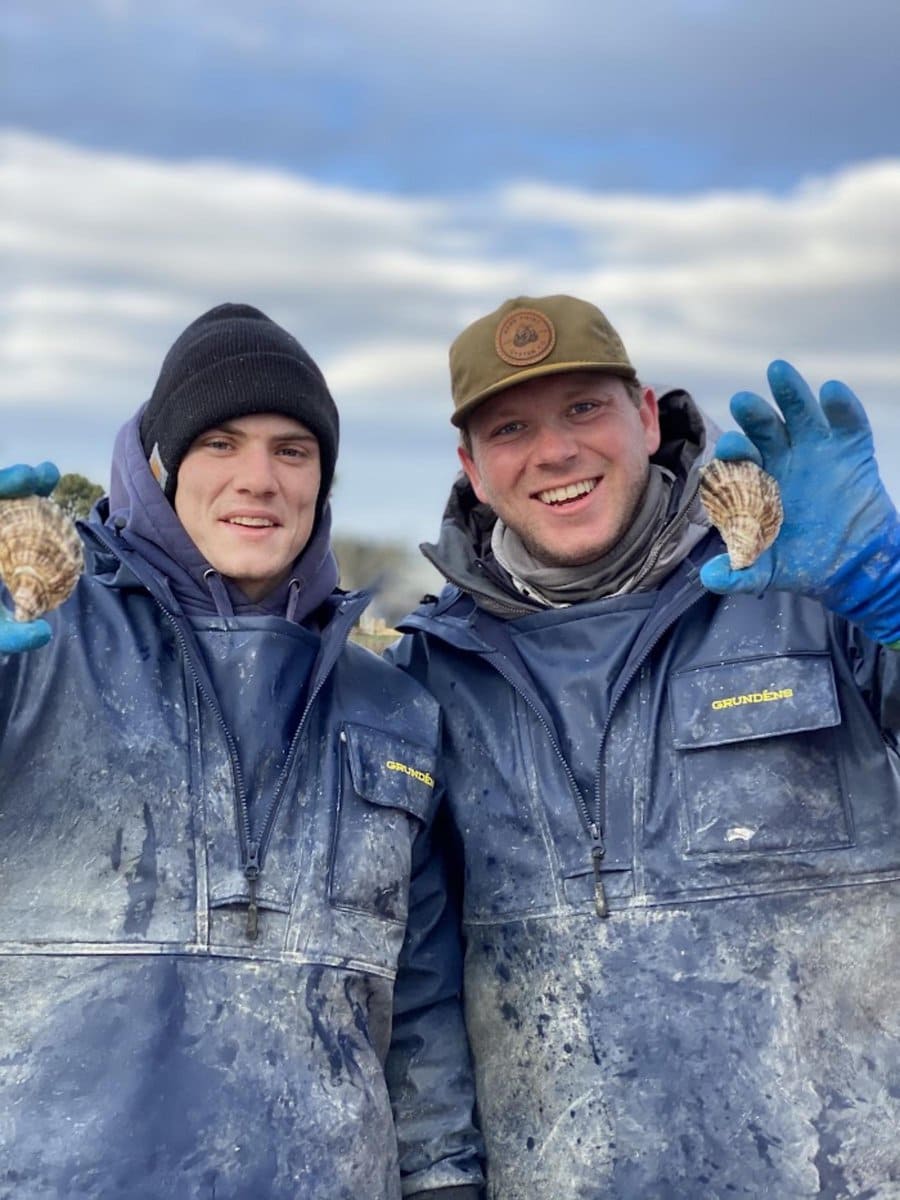 edible MAINE - Cold Oysters