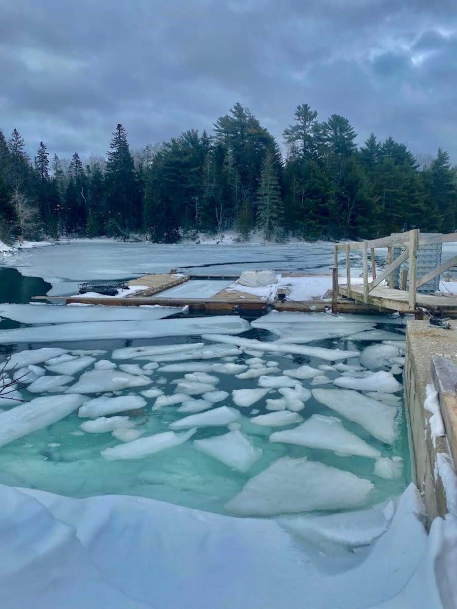 edible MAINE - Cold Oysters