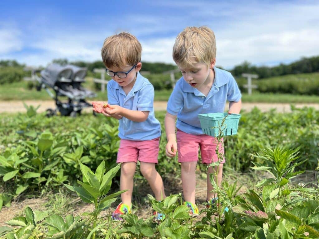 edible MAINE - Young Readers Picking Strawberries