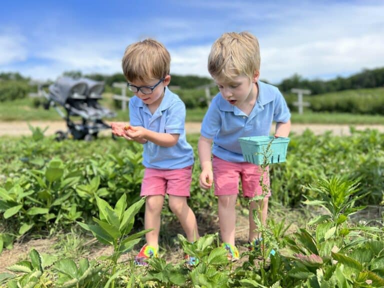 edible MAINE - Young Readers Picking Strawberries