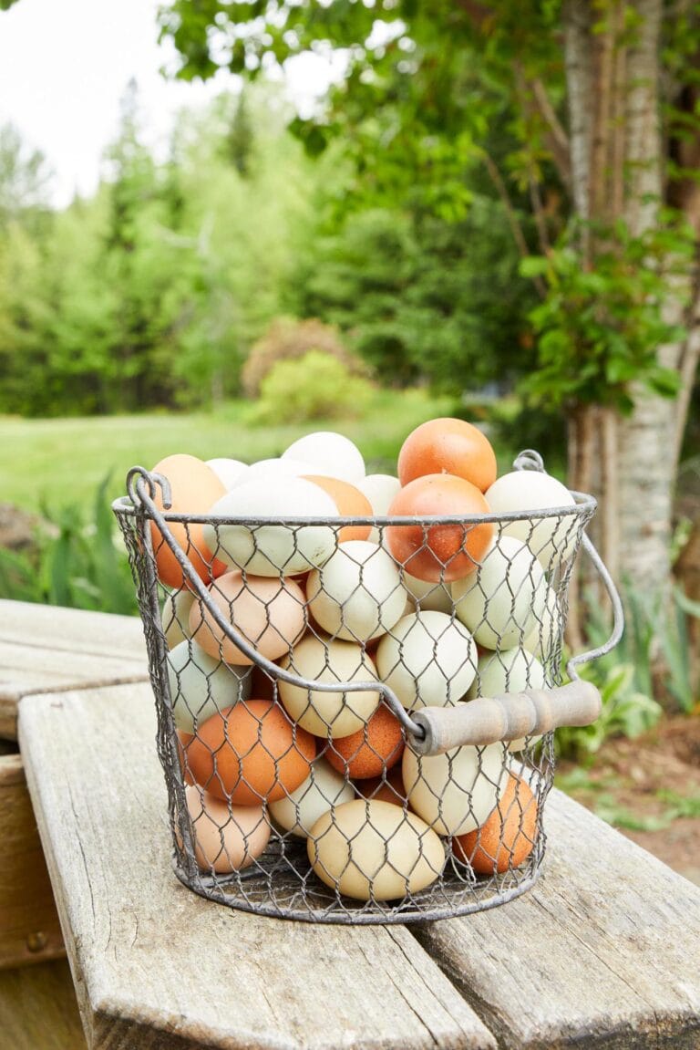 edible MAINE - Putting Up Local Eggs