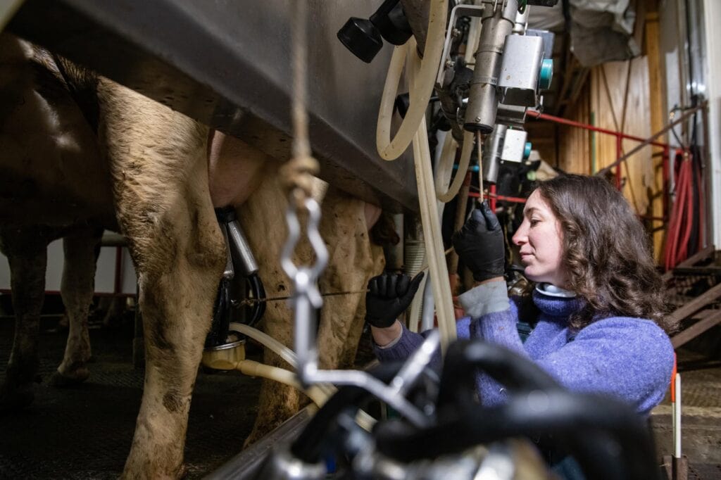 edible MAINE - Stomaching Milk Before Breakfast