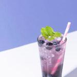 edible MAINE - Blueberry Lemongrass Mojito