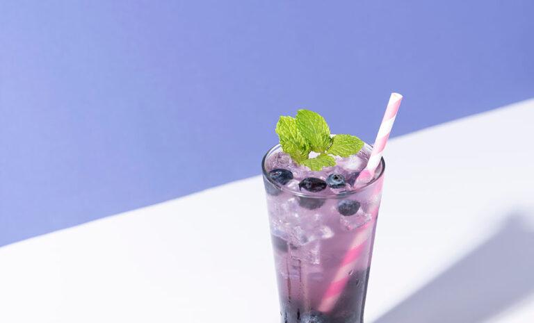 edible MAINE - Blueberry Lemongrass Mojito