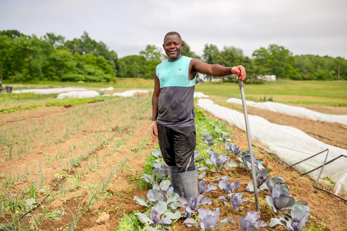 edible MAINE - Cultivating Community with African Crops
