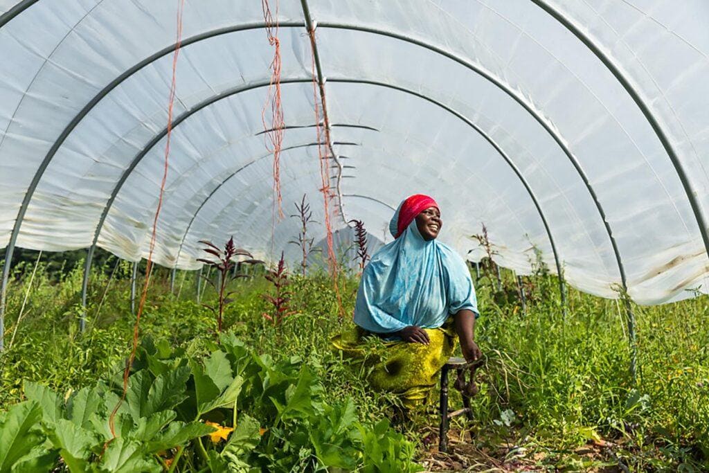 edible MAINE - Cultivating Community with African Crops