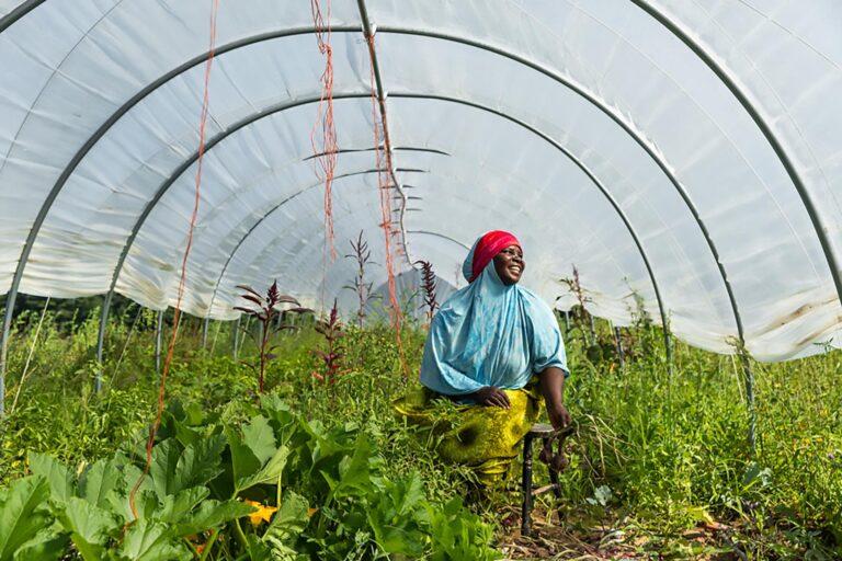 edible MAINE - Cultivating Community with African Crops