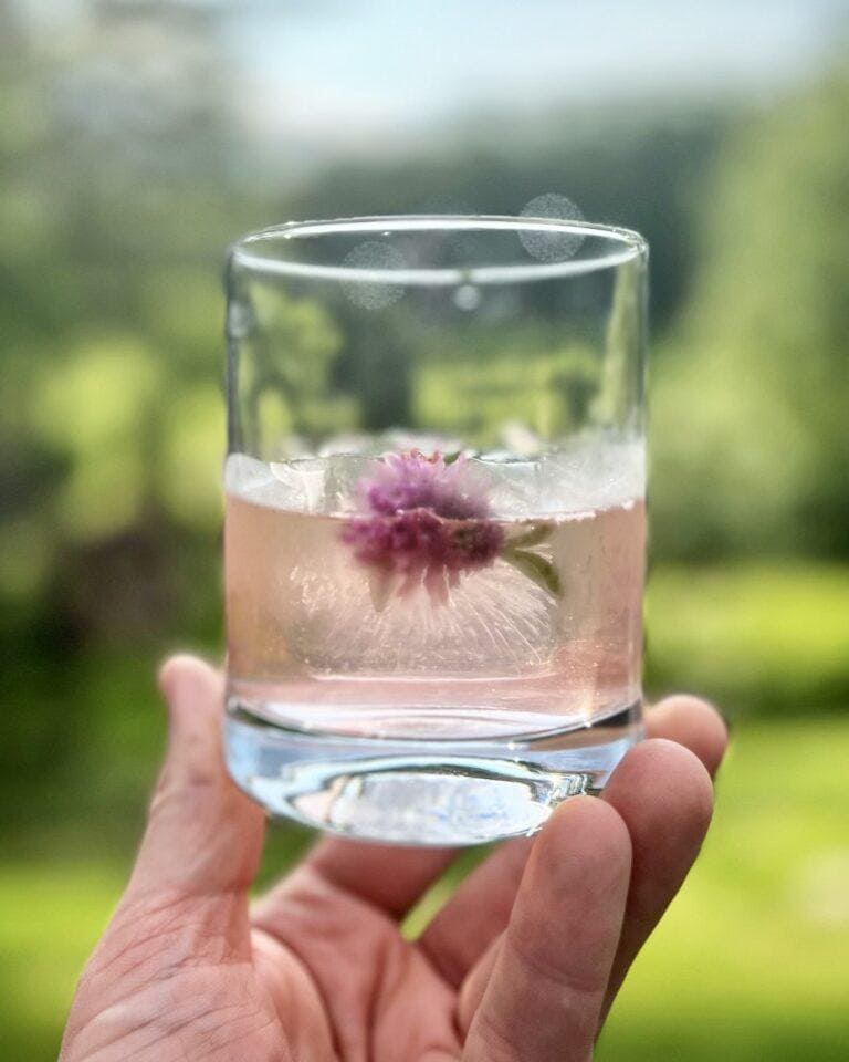 edible MAINE - Rhubarb Milk Punch
