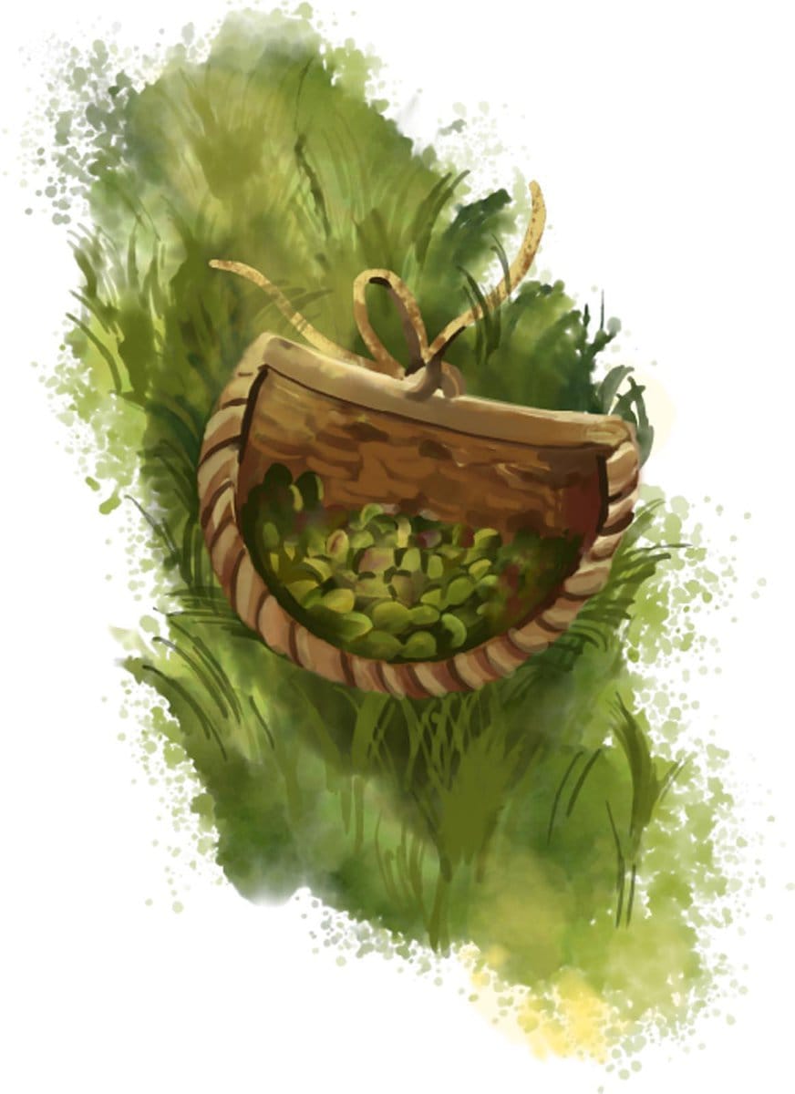 edible MAINE - The Family Olive Oil