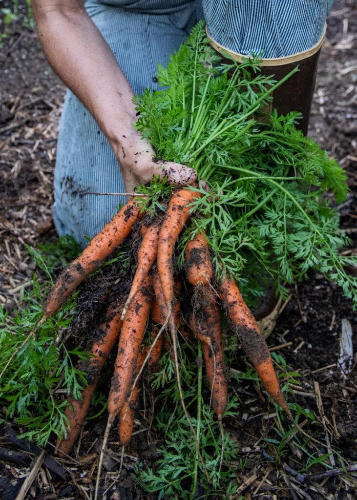 edible MAINE - From Parisian Luxury to Maine’s Bounty