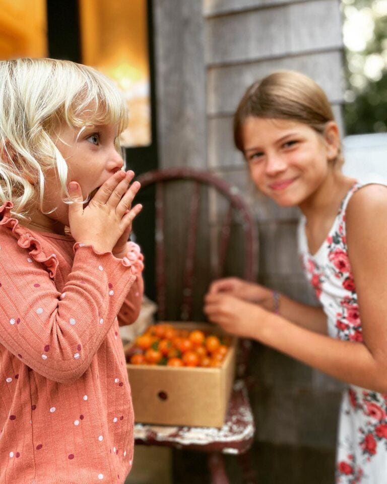 edible MAINE - From Parisian Luxury to Maine’s Bounty