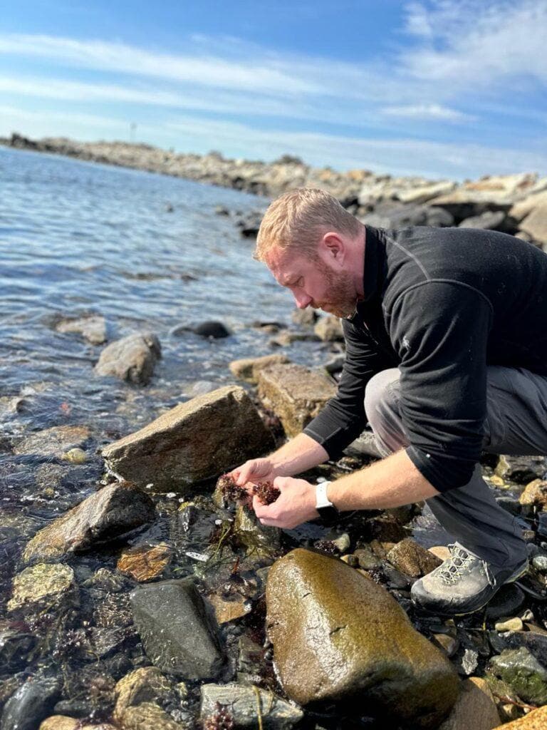 edible MAINE - Within Arm’s Reach