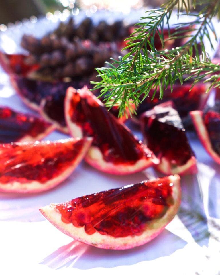 edible MAINE - Pomegranate Champagne Jell-O Shots