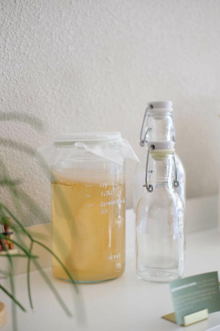 edible MAINE - 10 Things to Know About Fermentation
