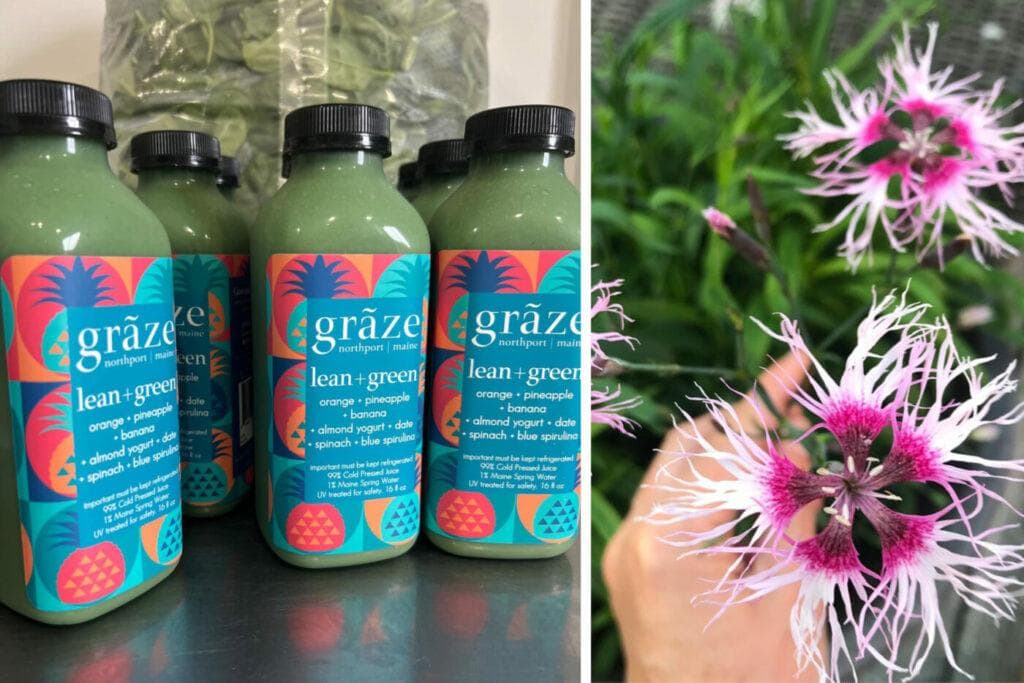 edible MAINE - From the Stress of Fashion to the Power of Greens