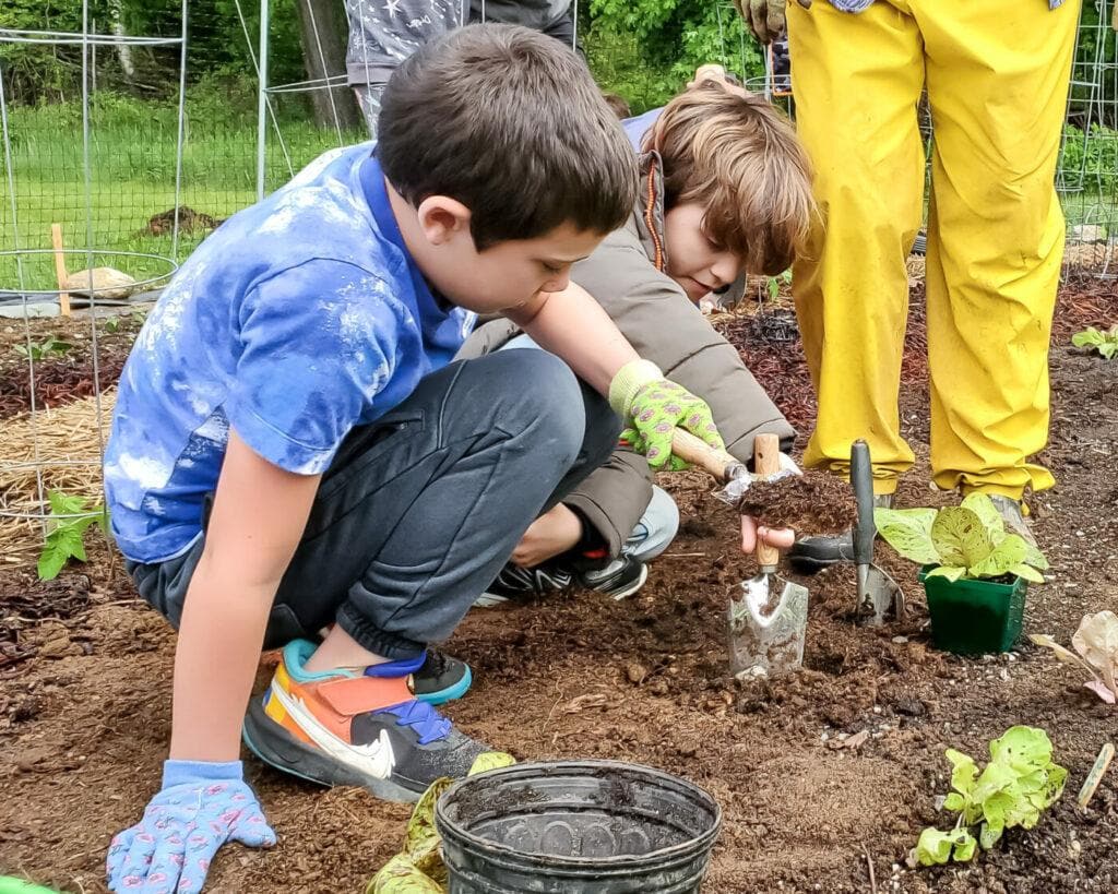 edible MAINE - Nourishing more than the soil