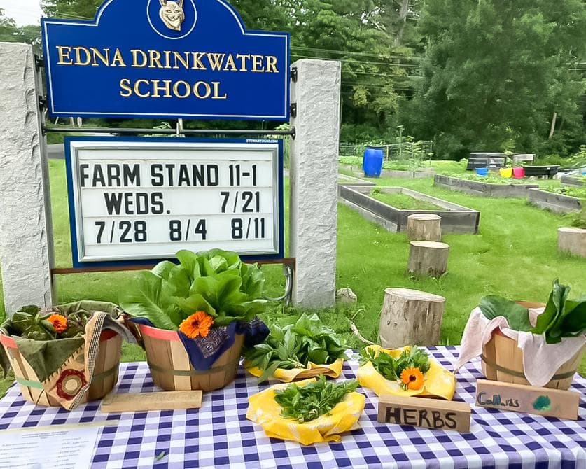 edible MAINE - Nourishing more than the soil
