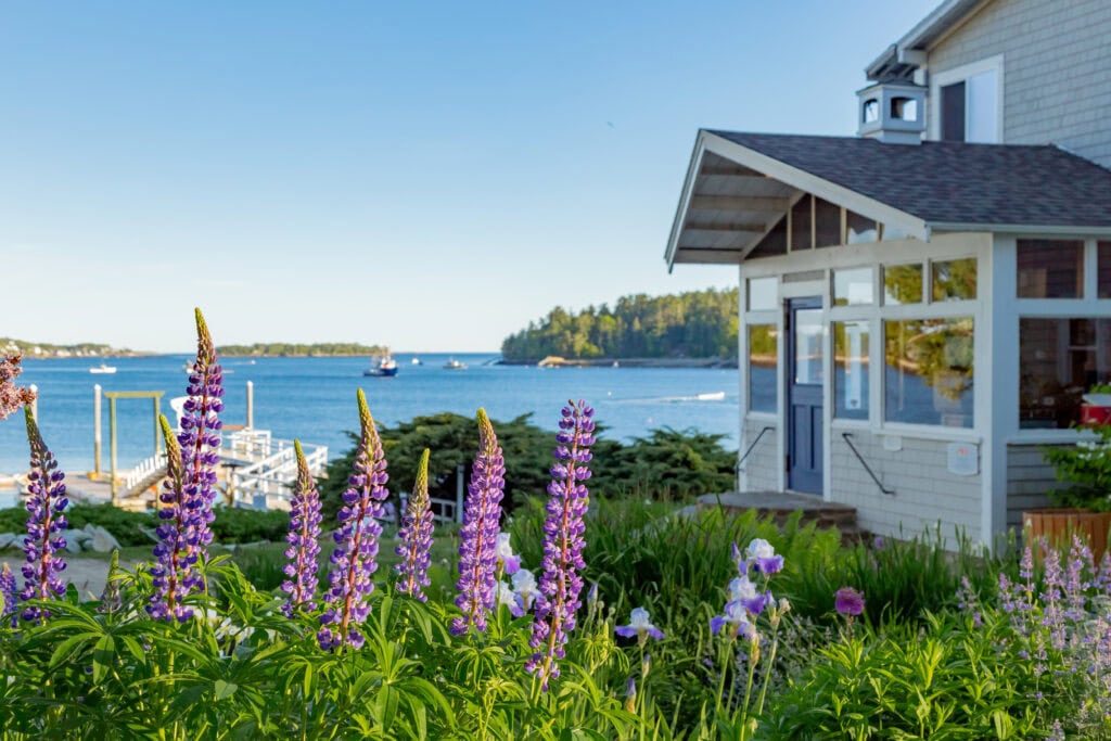 edible MAINE - Linekin Bay Resort