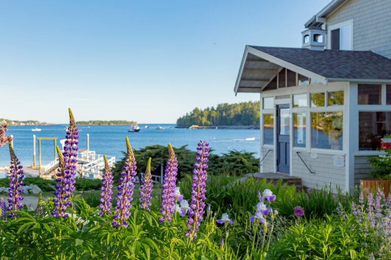 edible MAINE - Linekin Bay Resort