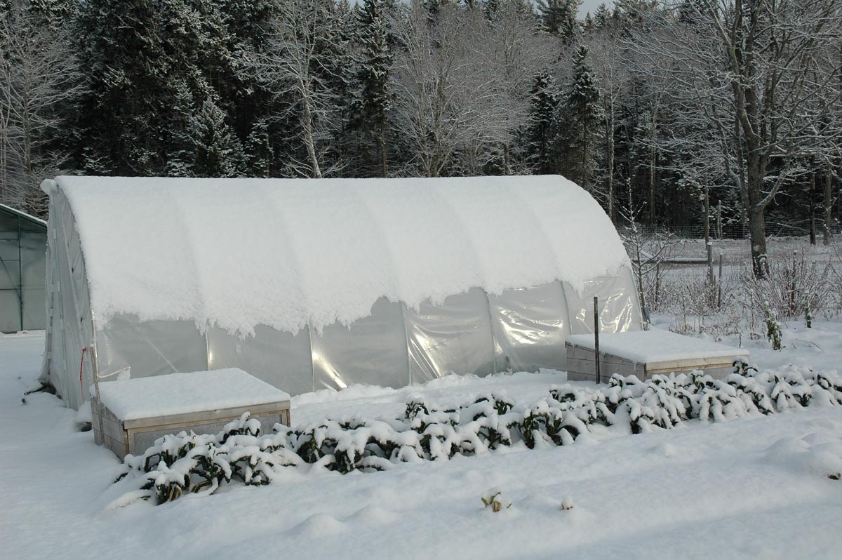 edible MAINE - Home Gardening Through The Frost