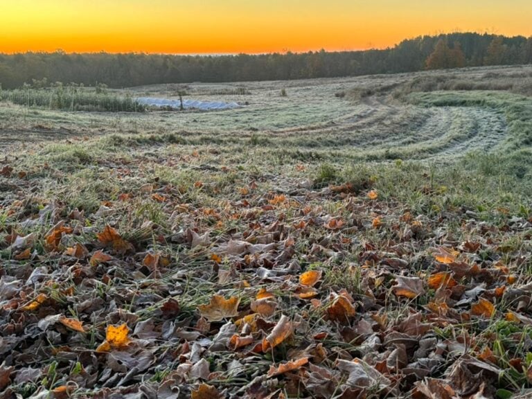 edible MAINE - The Stillness of the Kettle