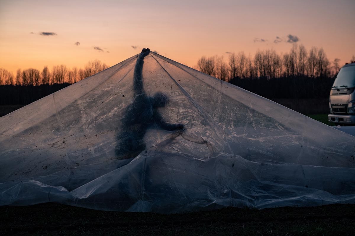 edible MAINE - Home Gardening Through The Frost