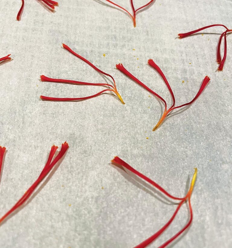 edible MAINE - Threads of Red Gold