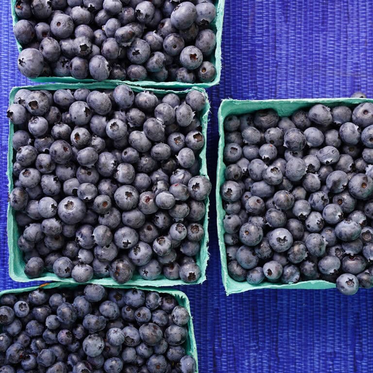 edible MAINE - Funding Freeze and farm fury