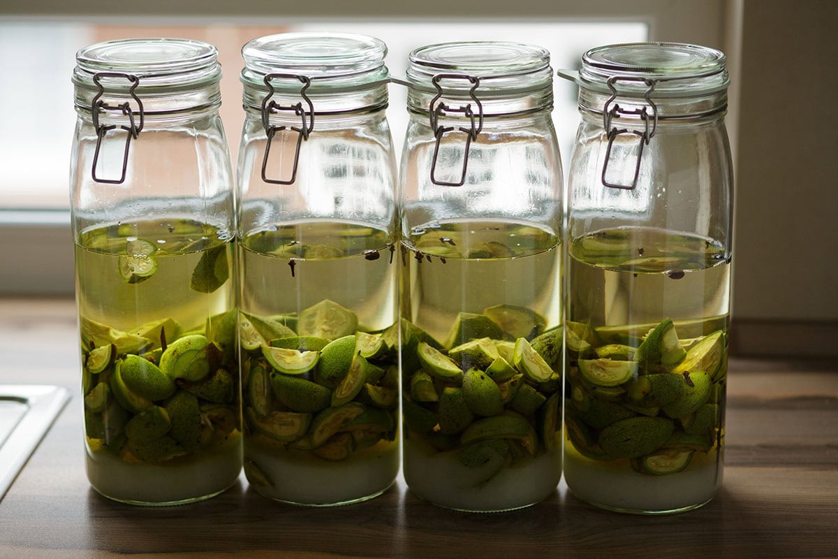 edible MAINE - Homemade Nocino