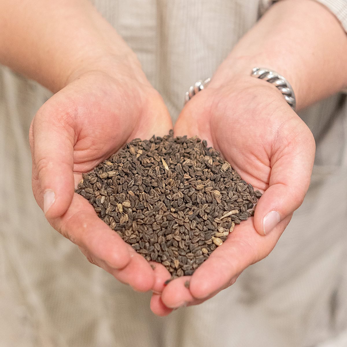 edible MAINE - Grinding Toward Greatness