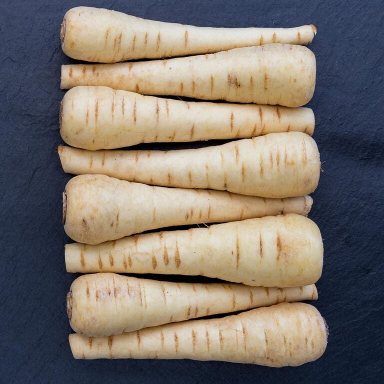 edible MAINE - The Root of the Matter