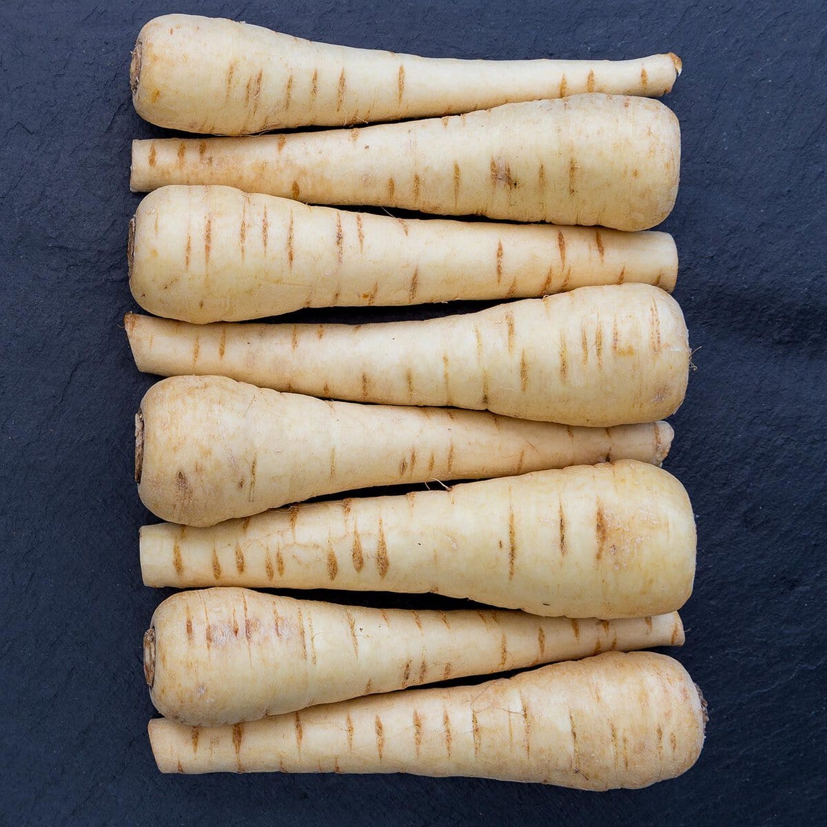 edible MAINE - The Root of the Matter